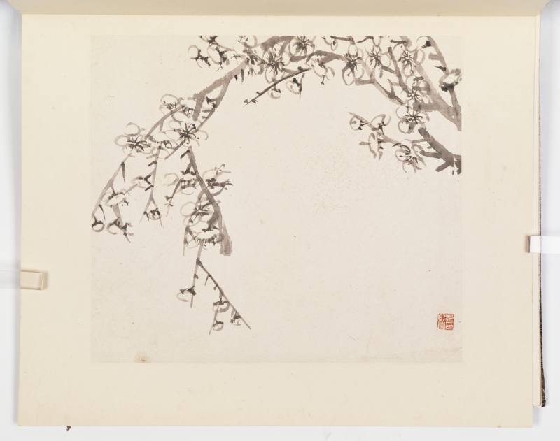 康熙甲子（1684年）作 温仪 梅花册 - 图25