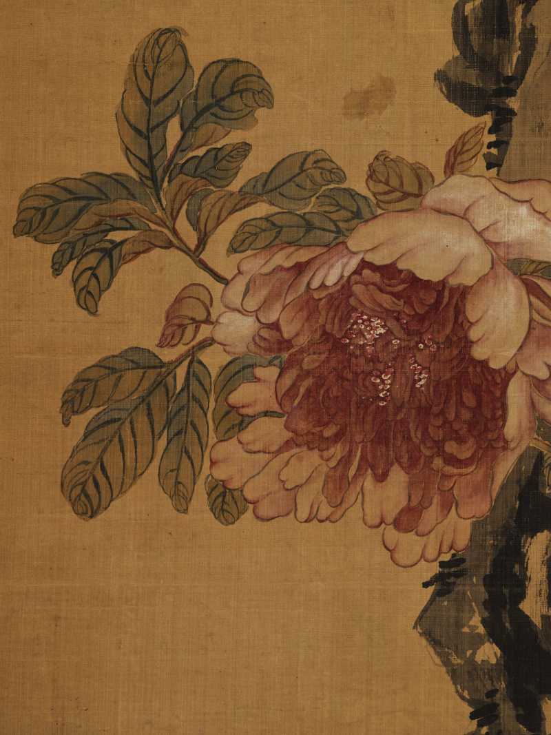 劳芹 牡丹湖石 - 图5