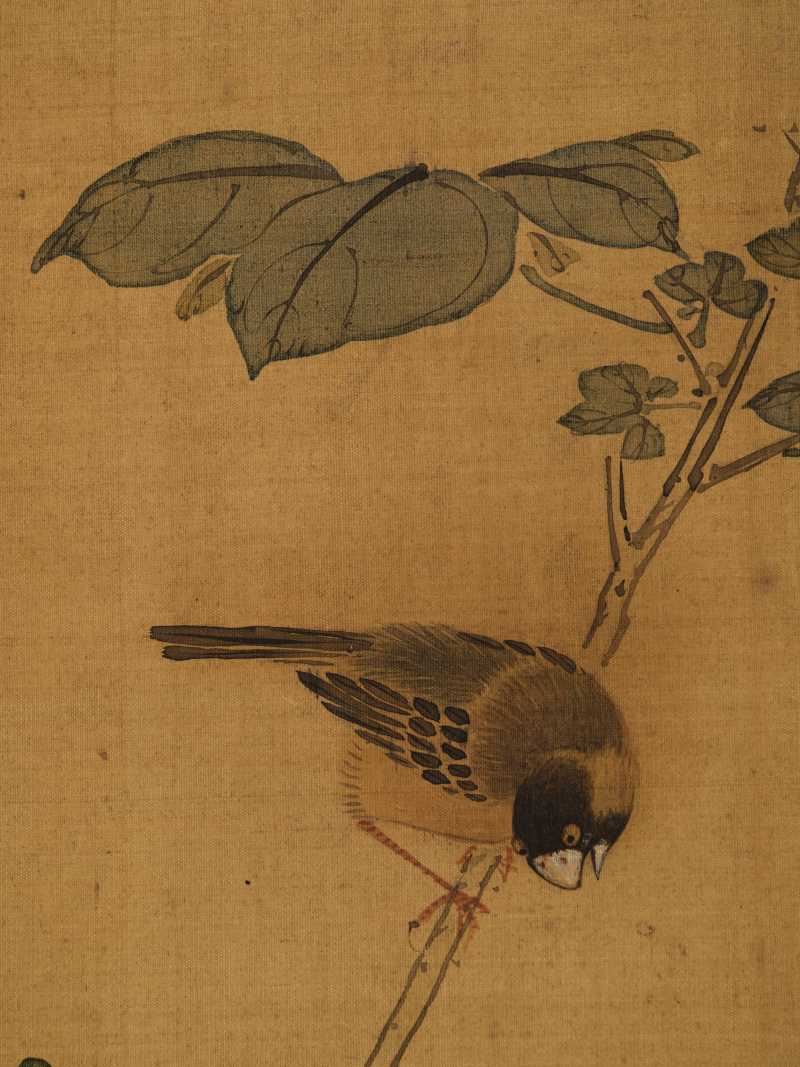 赵源 花鸟册 - 图35