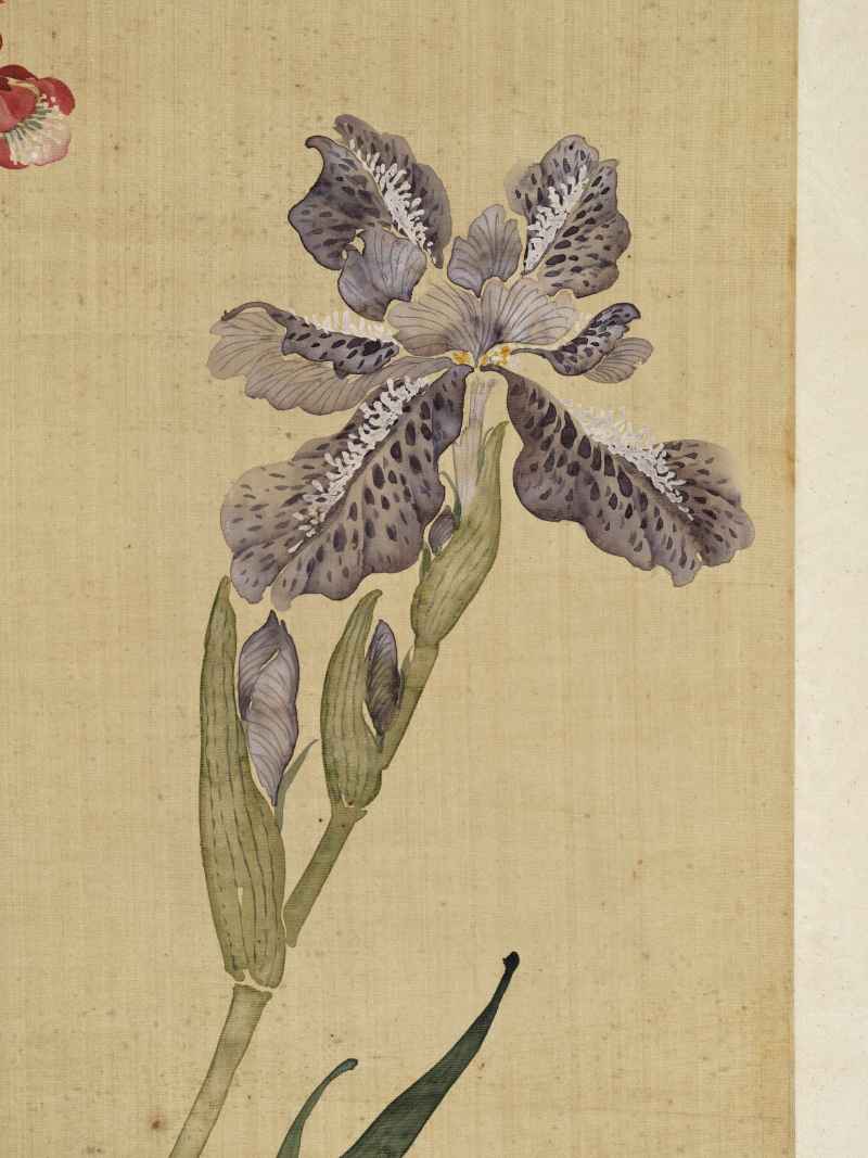 光绪丙午（1906年）作 慈禧（款） 花卉四屏 - 图36
