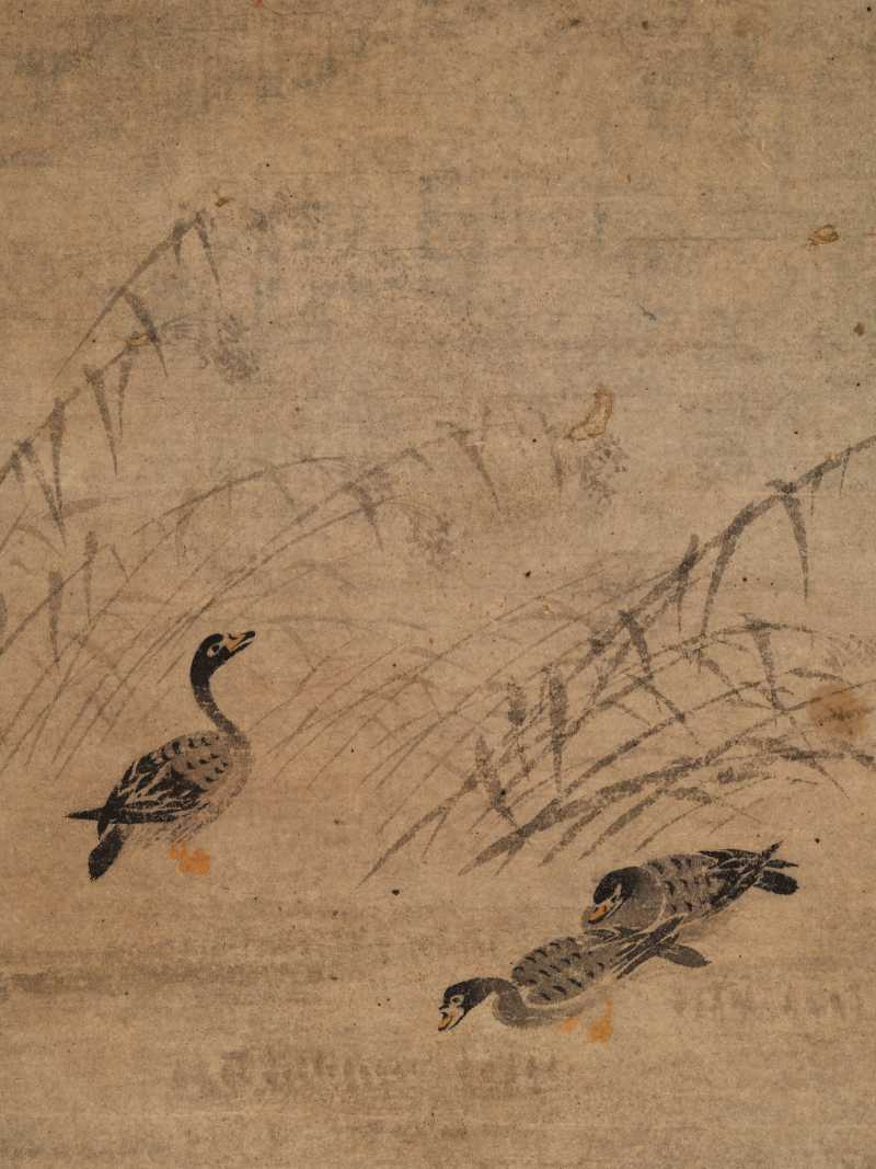 边寿民（款） 芦雁册 - 图12