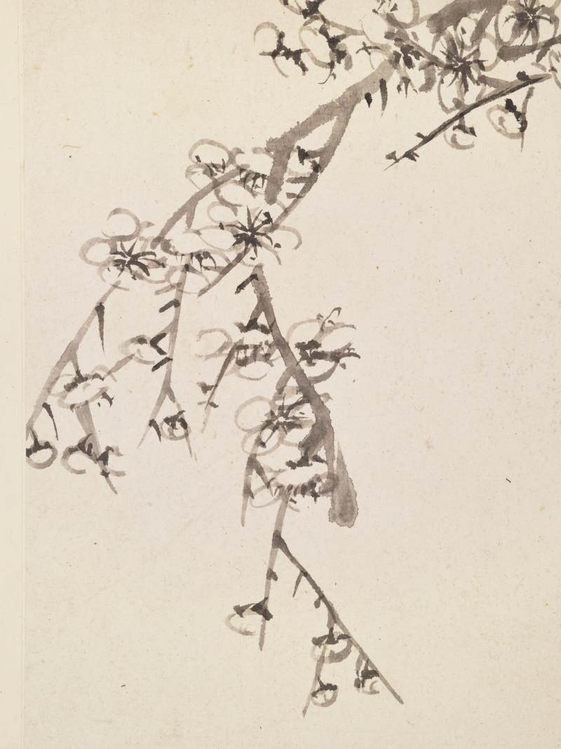 康熙甲子（1684年）作 温仪 梅花册 - 图26