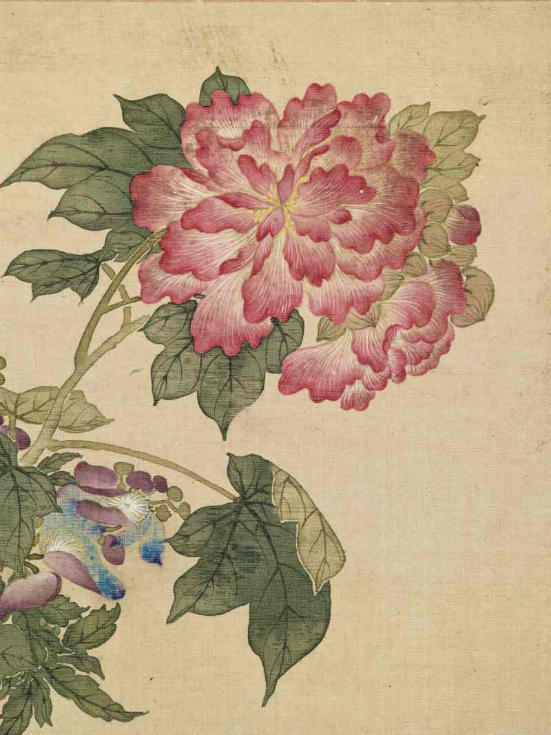 康熙癸巳（1713年）作 马荃（款） 花卉册 - 图18