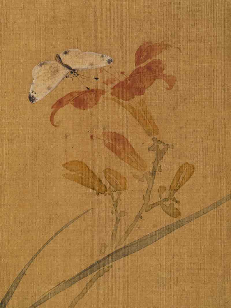 赵源 花鸟册 - 图21
