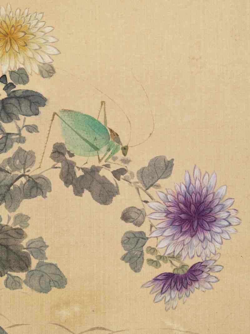 佚名 花鸟册 - 图16