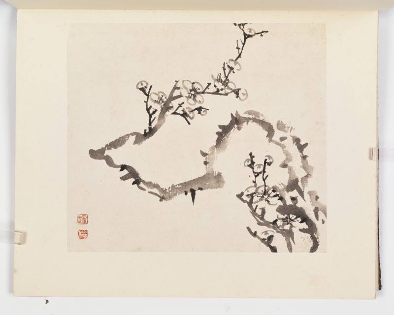 康熙甲子（1684年）作 温仪 梅花册 - 图9