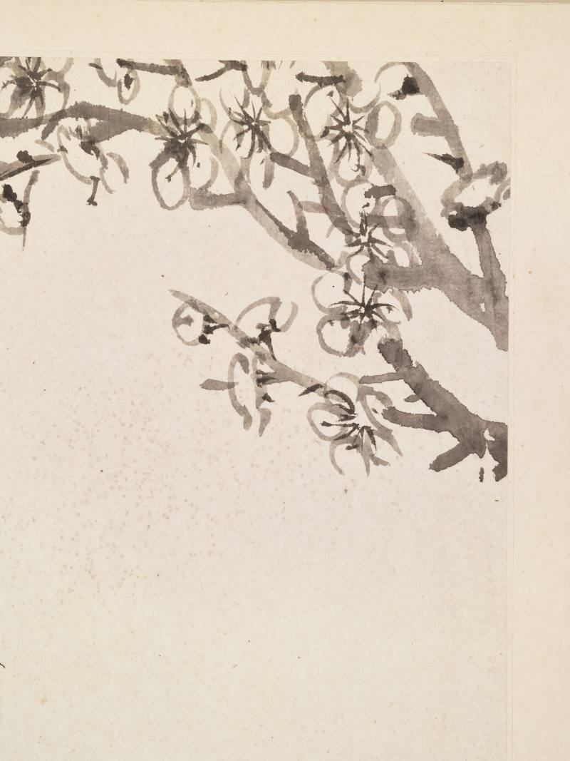 康熙甲子（1684年）作 温仪 梅花册 - 图27