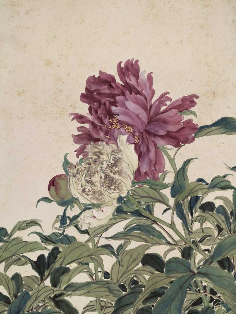 光绪甲辰（1904年）作 张兆祥 牡丹巨幅 - 图8