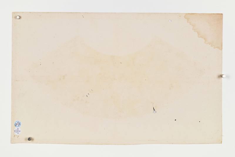 癸酉（1873年）、己亥（1899年）作 居廉 花卉四帧 - 图20