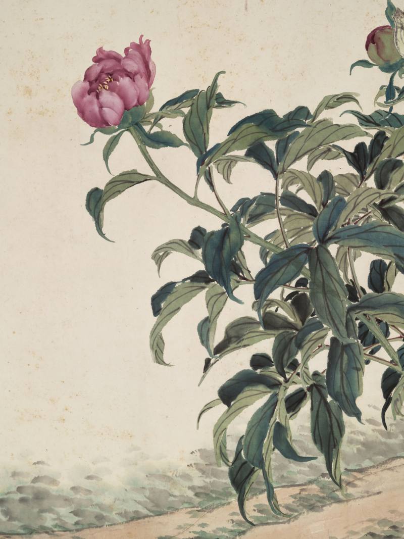 光绪甲辰（1904年）作 张兆祥 牡丹巨幅 - 图9
