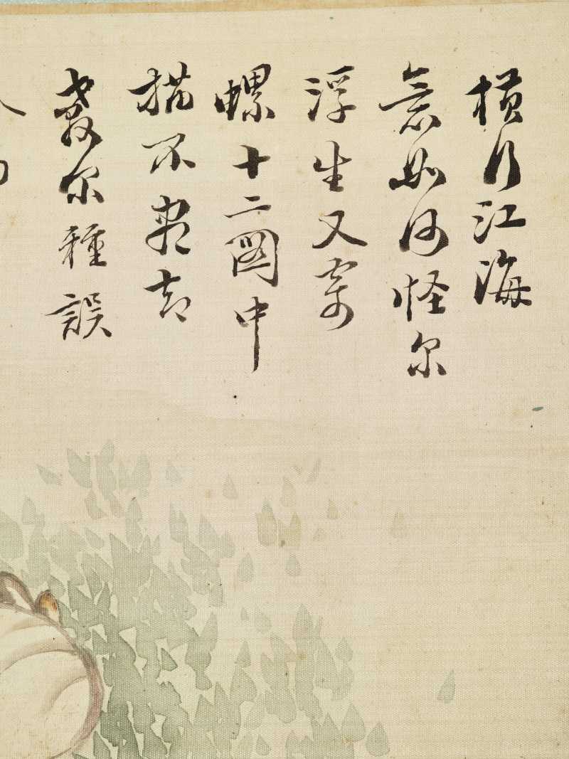 道光甲午（1834年）作 翁雒 花鸟写生册 - 图19