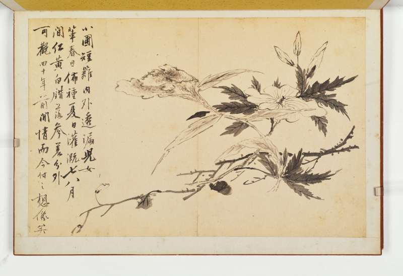 徐六桥 花卉册 - 图3