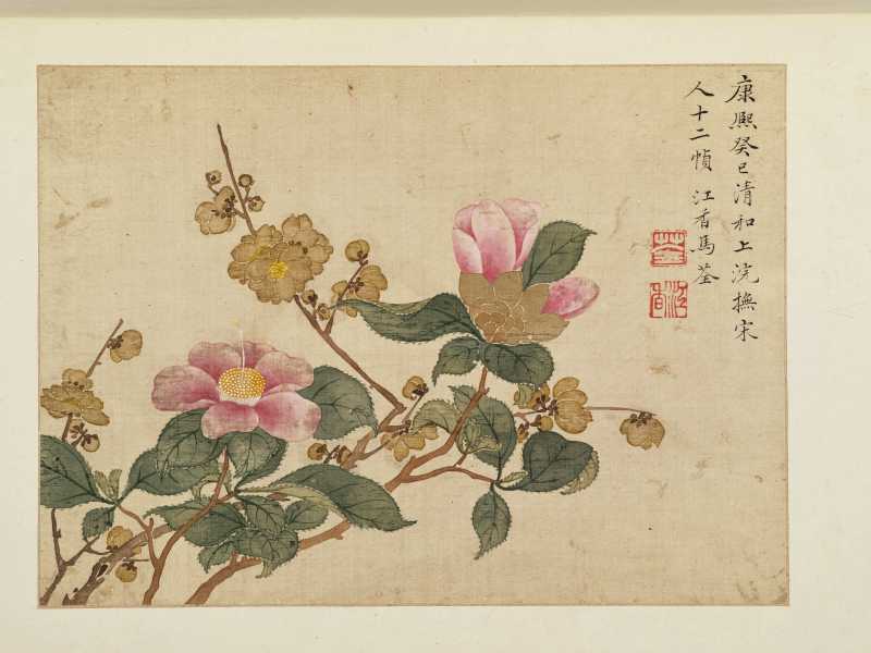 康熙癸巳（1713年）作 马荃（款） 花卉册 - 图19