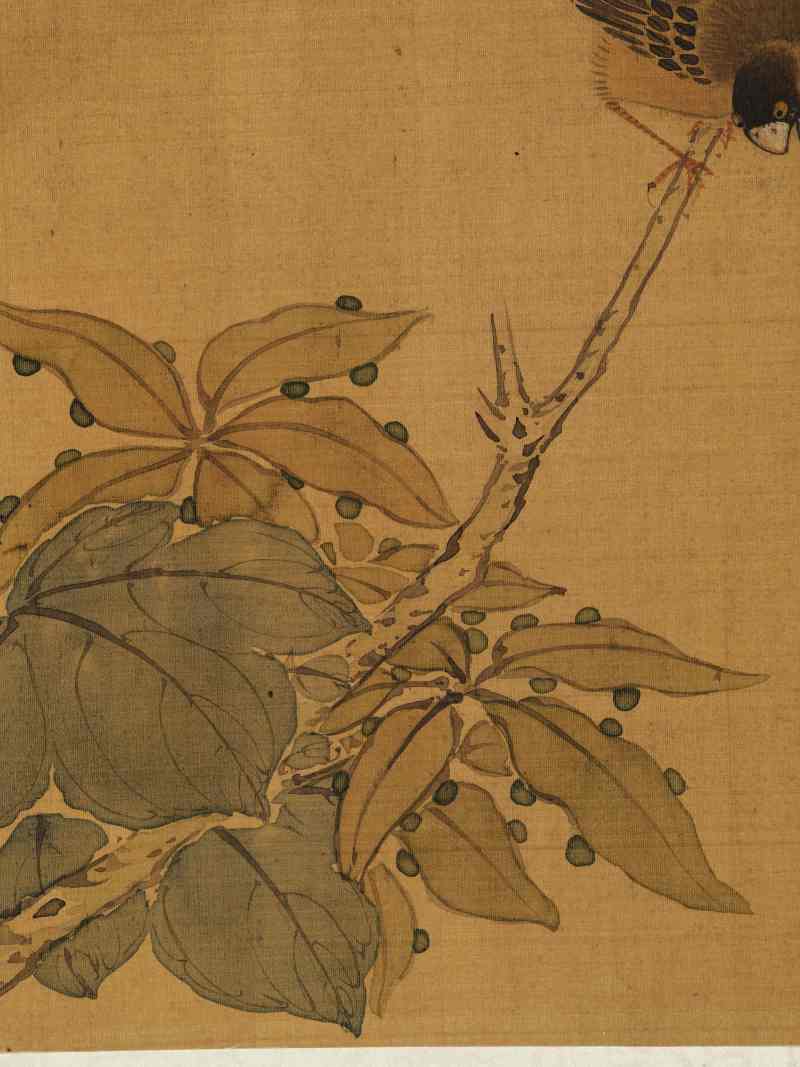 赵源 花鸟册 - 图36