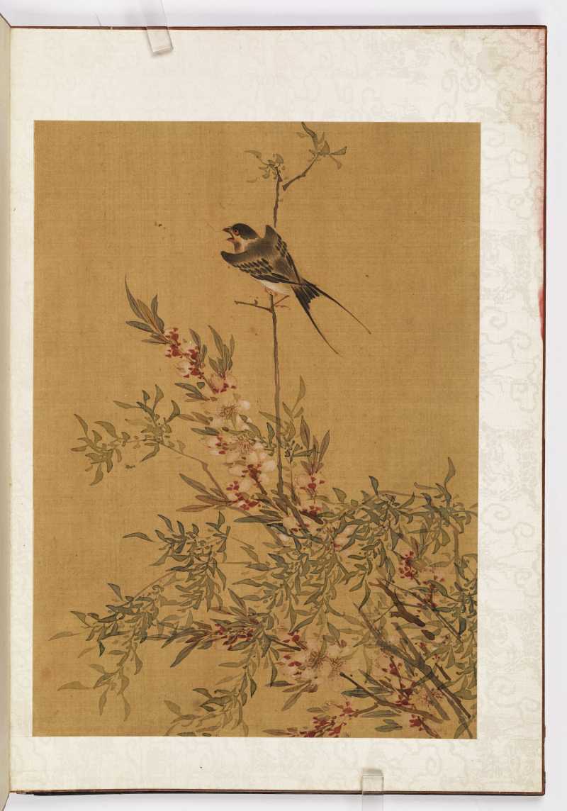 赵源 花鸟册 - 图37