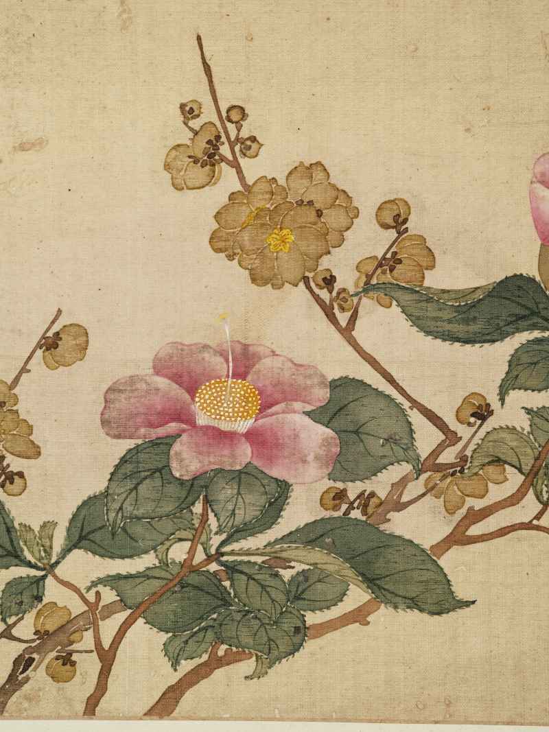 康熙癸巳（1713年）作 马荃（款） 花卉册 - 图20