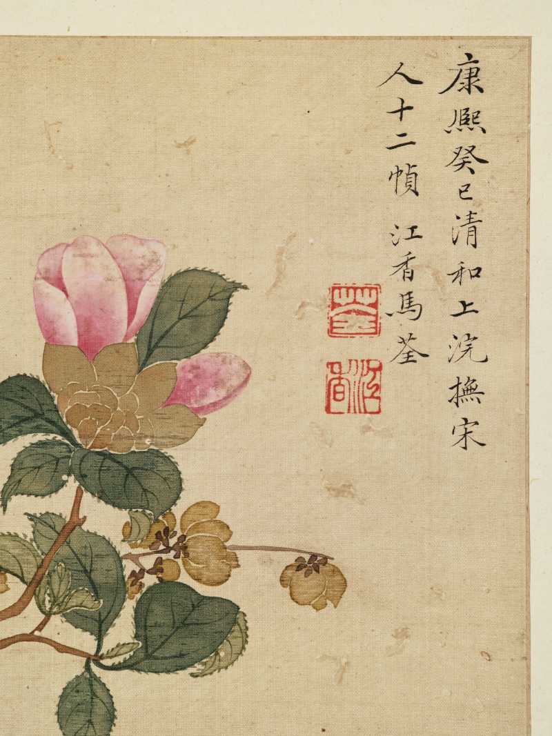 康熙癸巳（1713年）作 马荃（款） 花卉册 - 图21