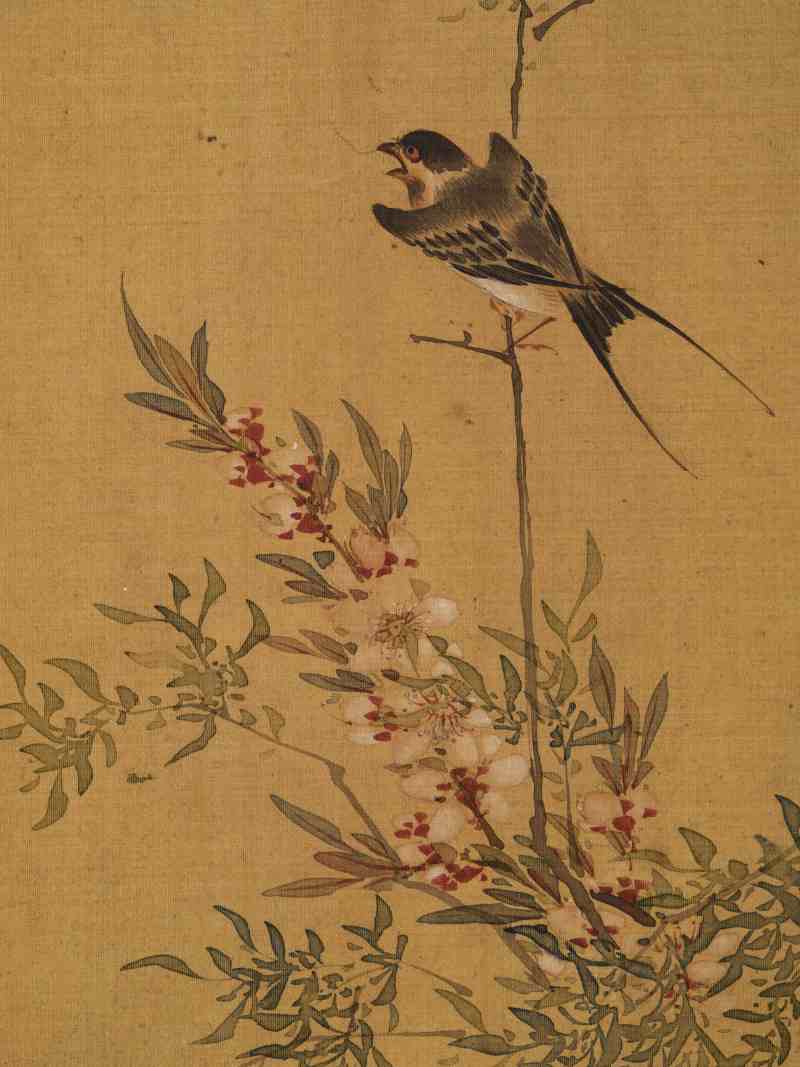 赵源 花鸟册 - 图38