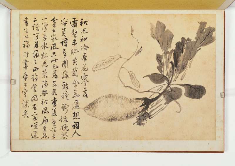 徐六桥 花卉册 - 图6