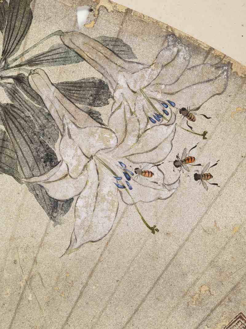 癸酉（1873年）、己亥（1899年）作 居廉 花卉四帧 - 图22