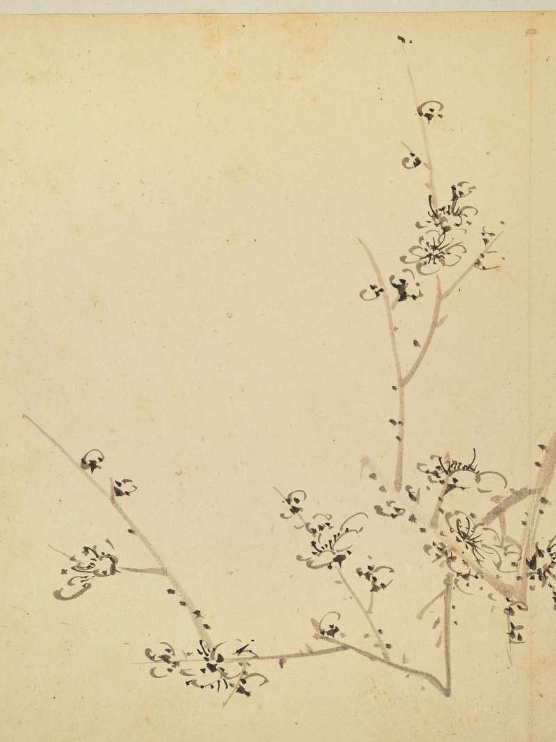 徐六桥 花卉册 - 图40