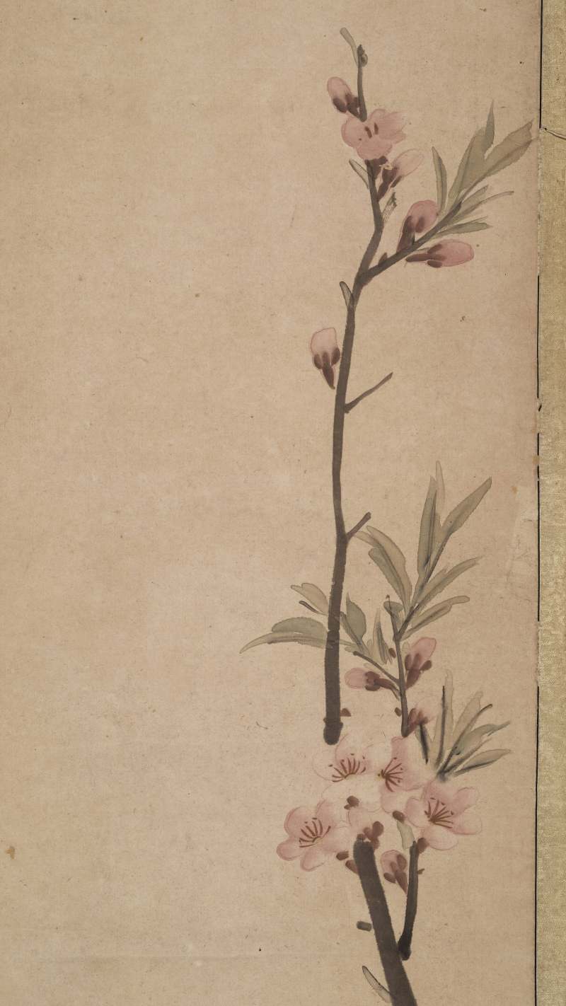 任薰 花卉四屏 - 图16
