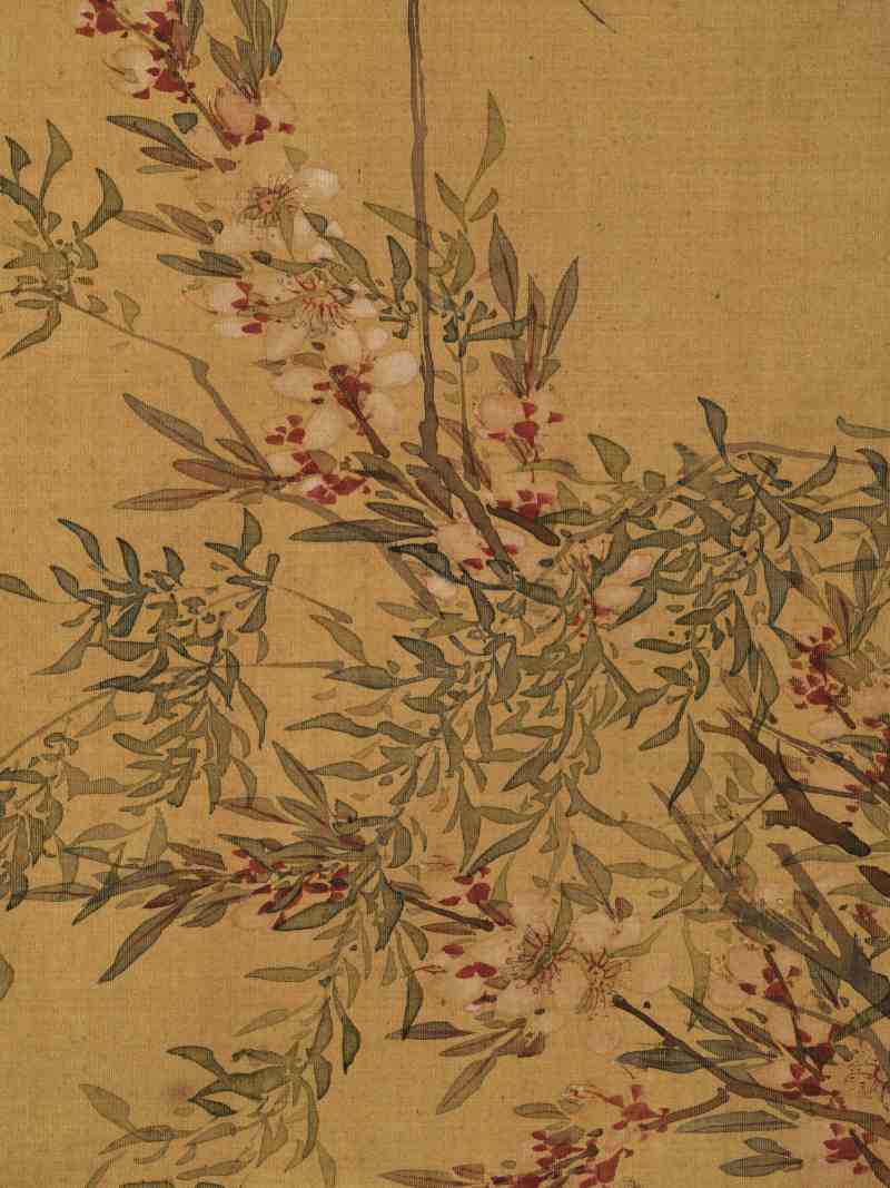 赵源 花鸟册 - 图39