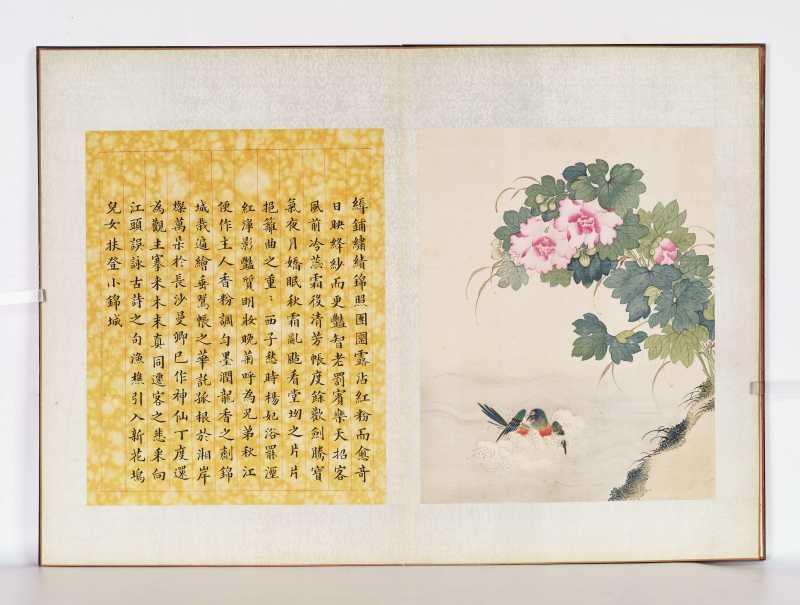 丁酉（1897年）作 梁德润、孙毓汶 花卉草虫册 - 图3