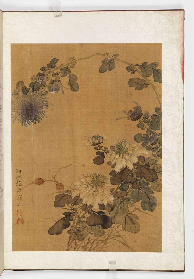 赵源 花鸟册 - 图40