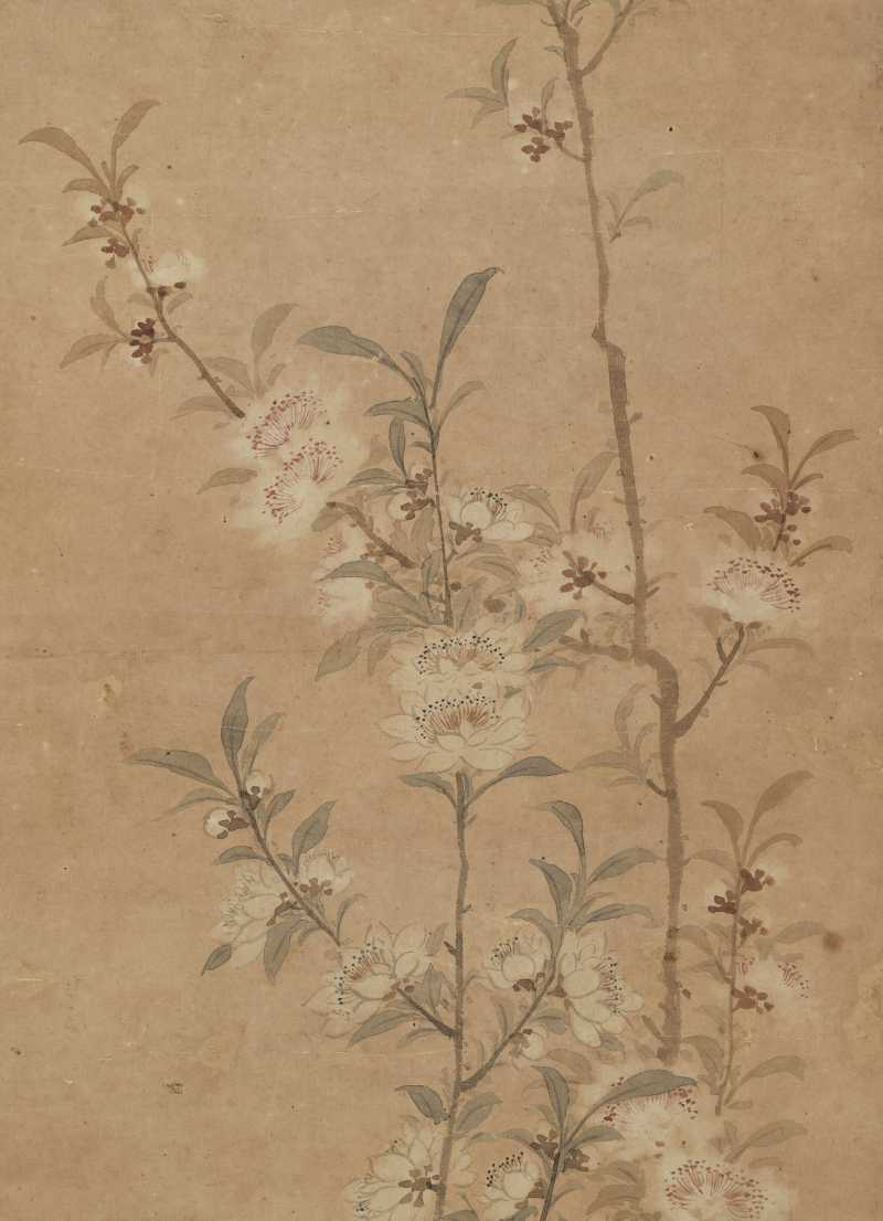 壬申（1812年）作 周笠 桃花 - 图4