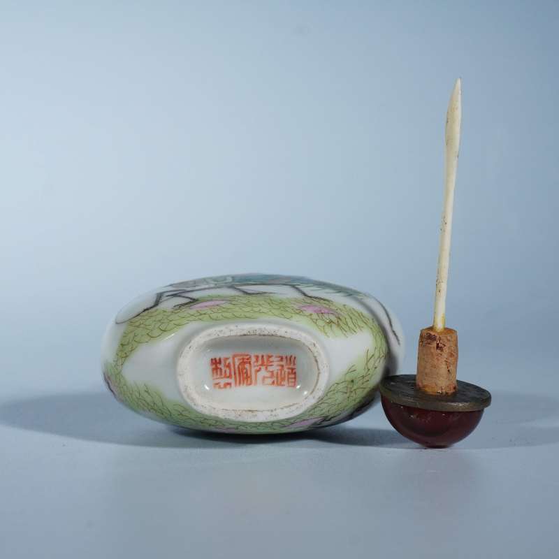 清道光粉彩虫趣图鼻烟壶 - 图3