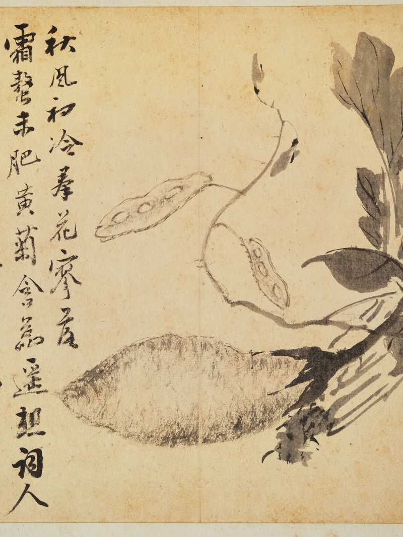 徐六桥 花卉册 - 图8