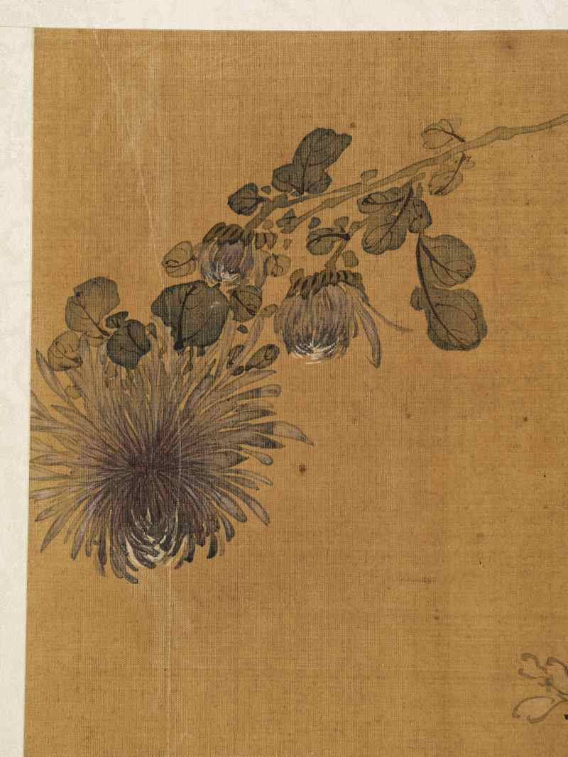 赵源 花鸟册 - 图41