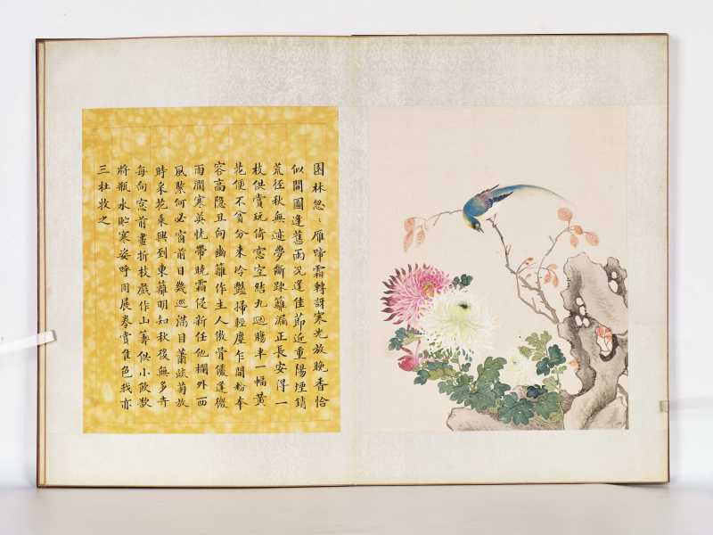 丁酉（1897年）作 梁德润、孙毓汶 花卉草虫册 - 图46