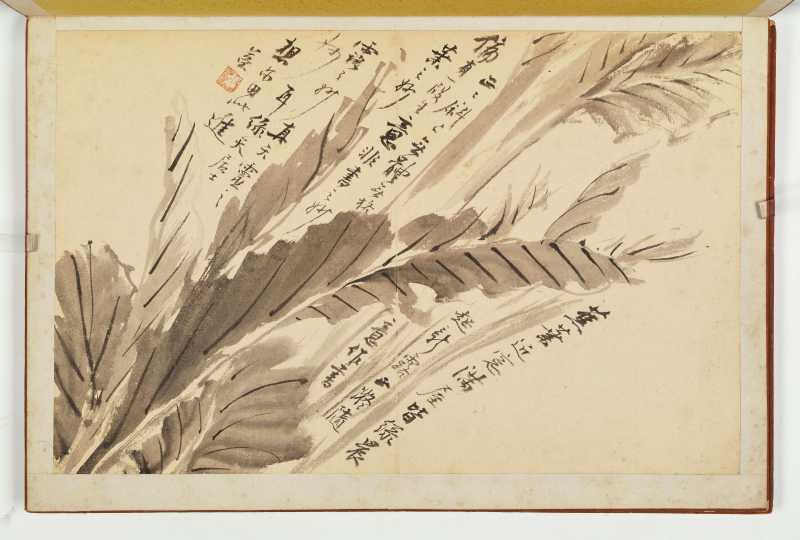 徐六桥 花卉册 - 图10