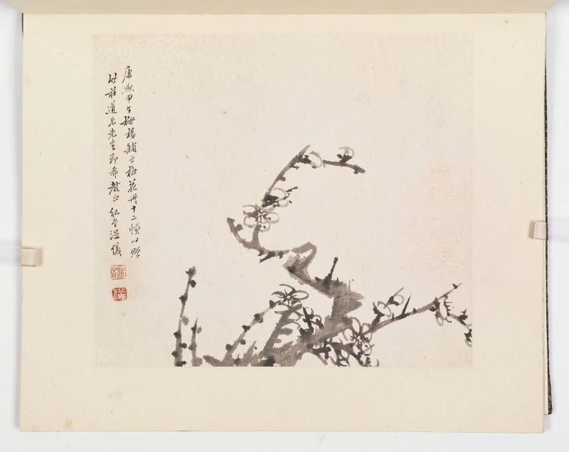 康熙甲子（1684年）作 温仪 梅花册 - 图29