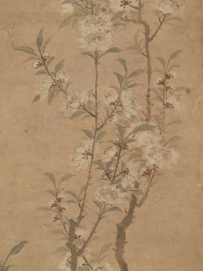 壬申（1812年）作 周笠 桃花 - 图5