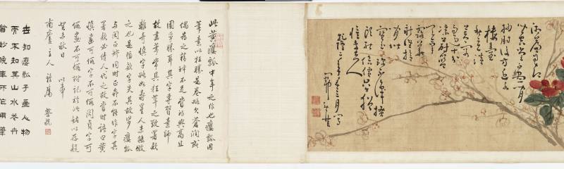 1737年作 黄慎（款） 花卉卷 - 图6