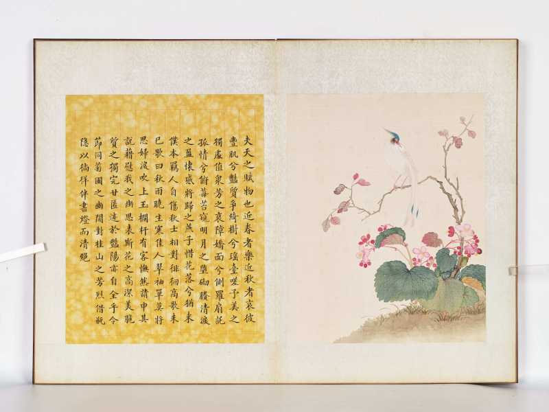 丁酉（1897年）作 梁德润、孙毓汶 花卉草虫册 - 图8