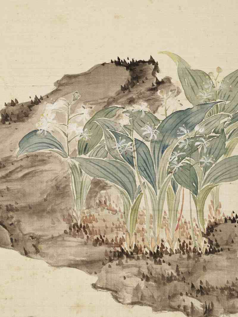 道光甲午（1834年）作 翁雒 花鸟写生册 - 图28