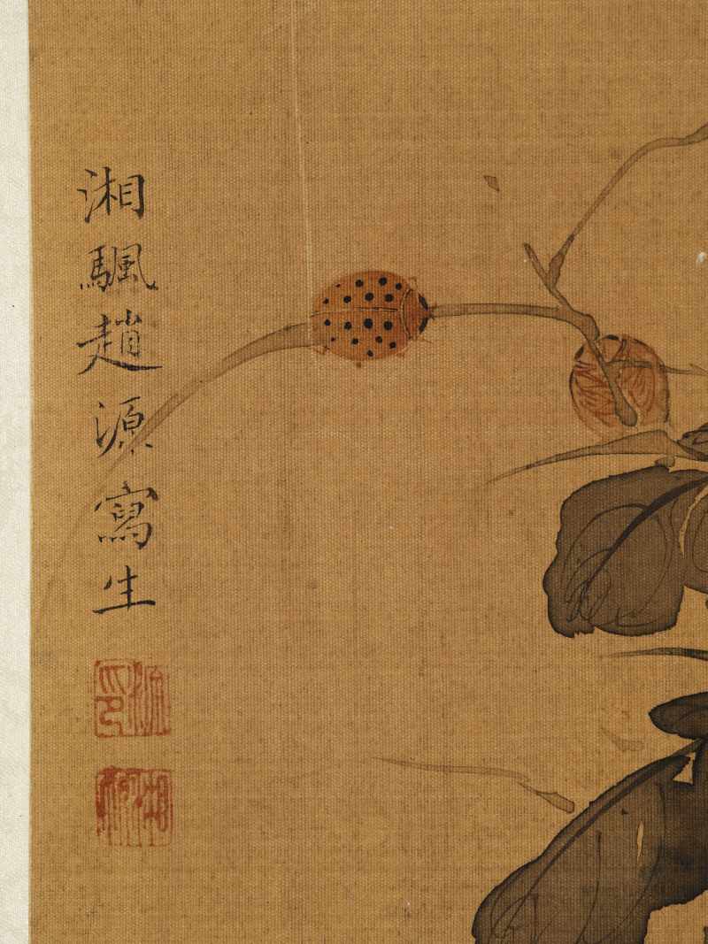 赵源 花鸟册 - 图43
