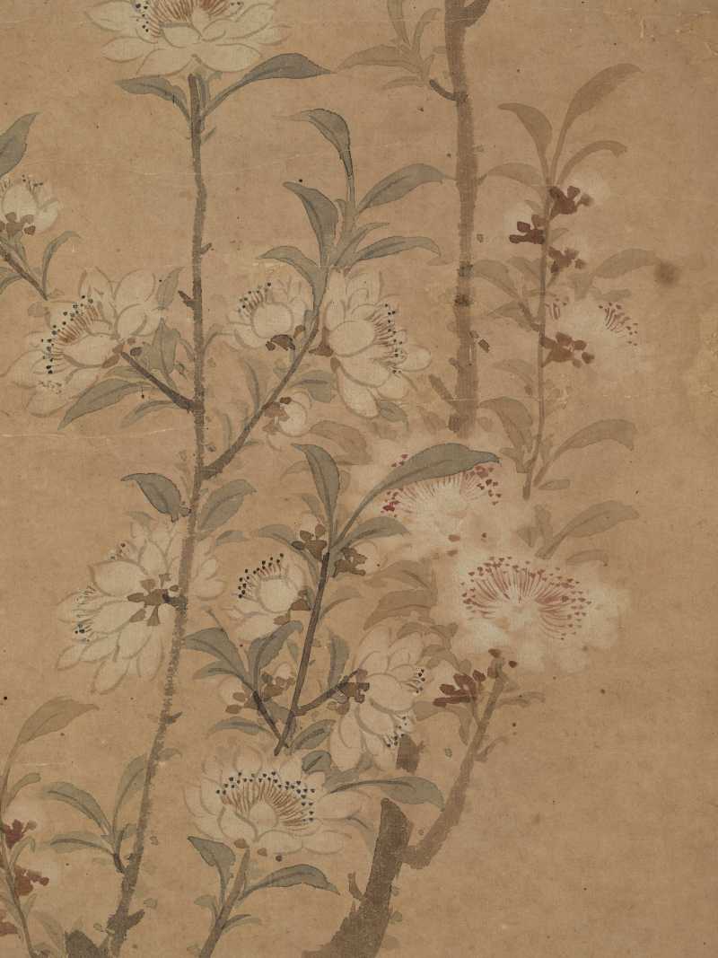 壬申（1812年）作 周笠 桃花 - 图8