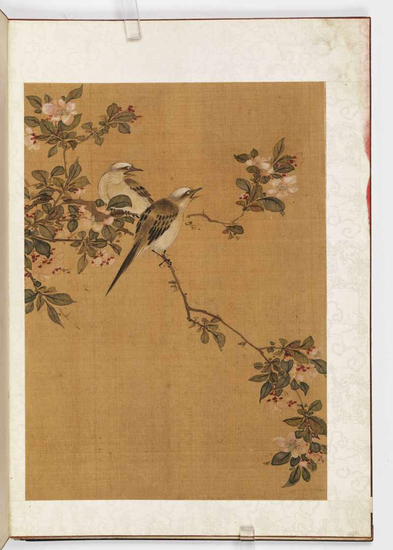 赵源 花鸟册 - 图44