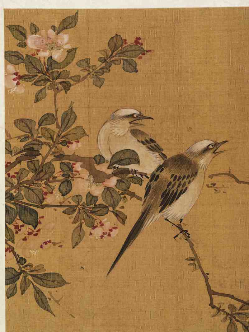 赵源 花鸟册 - 图45