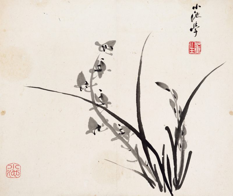 董洵 墨兰