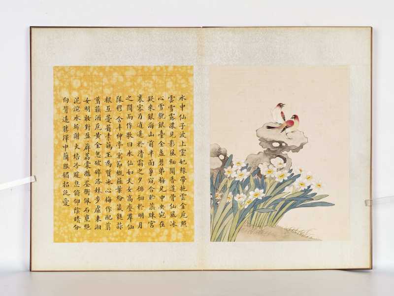 丁酉（1897年）作 梁德润、孙毓汶 花卉草虫册 - 图13