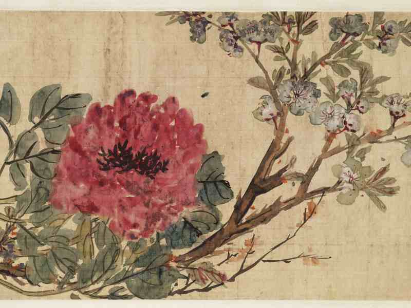 1737年作 黄慎（款） 花卉卷 - 图11
