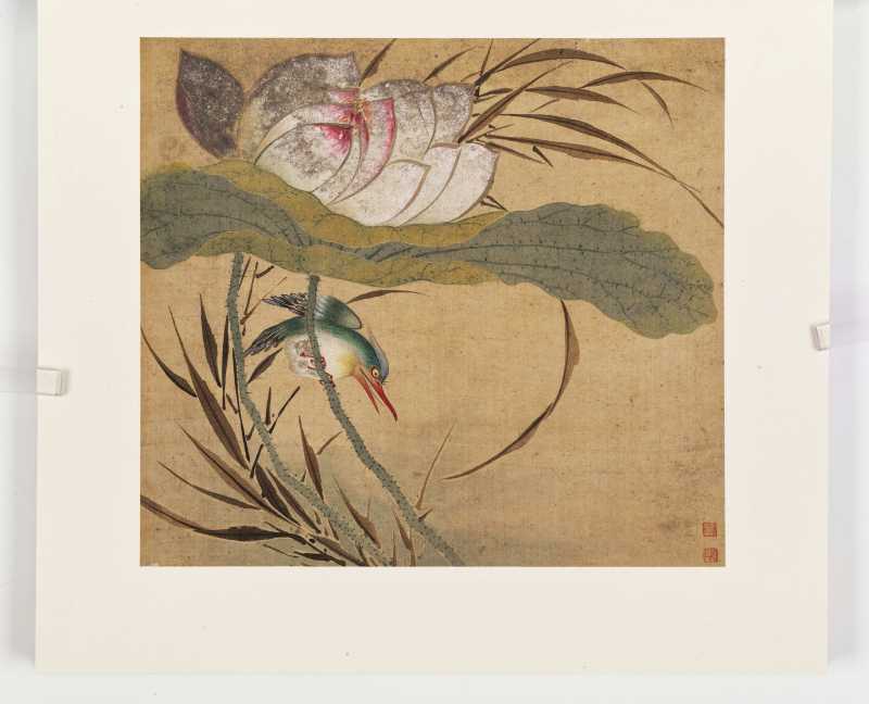 童原 写生花鸟册 - 图3