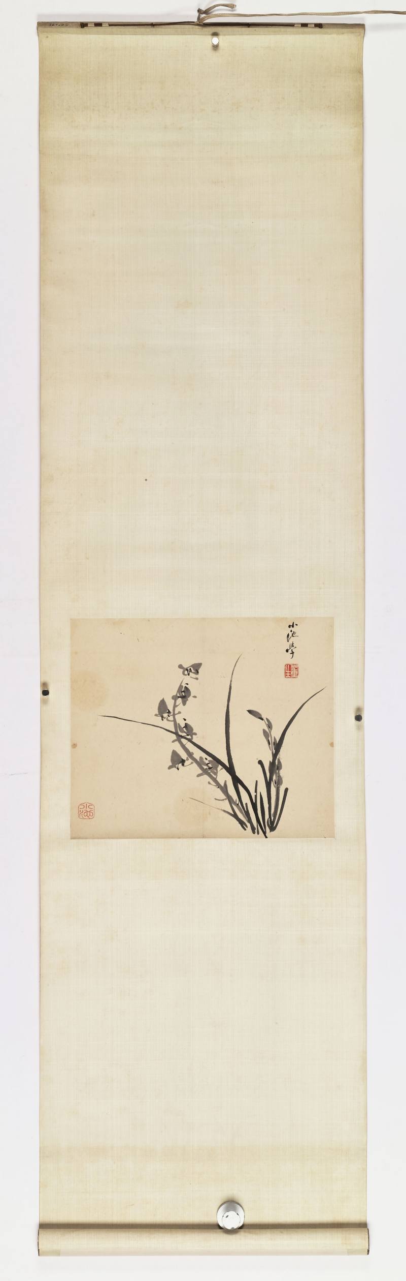 董洵 墨兰 - 图2