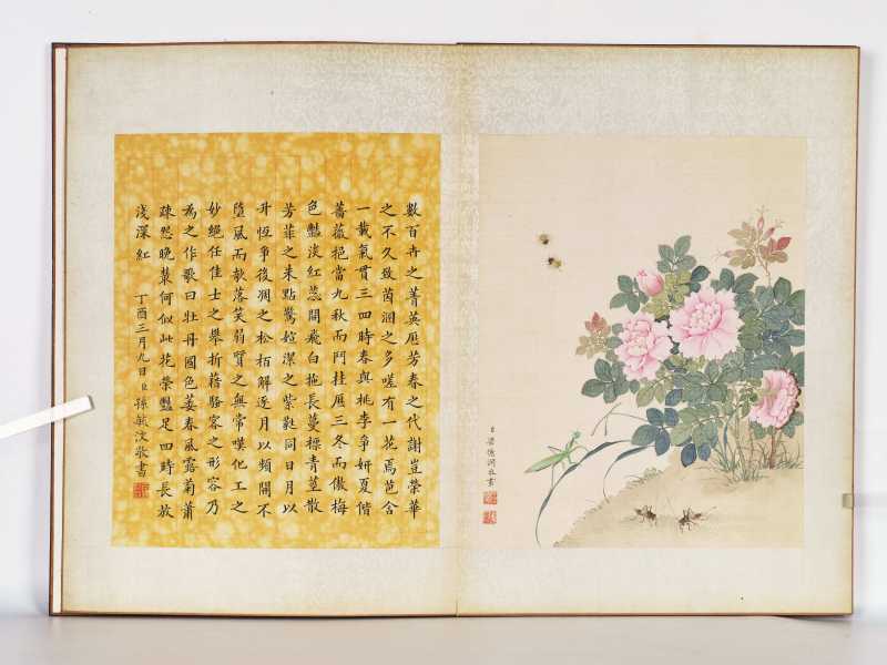 丁酉（1897年）作 梁德润、孙毓汶 花卉草虫册 - 图53
